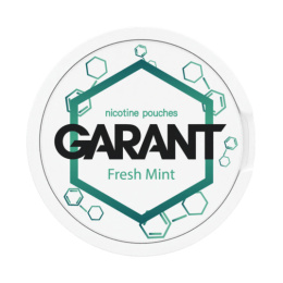 Woreczki Nikotynowe Garant Molecule 20mg - Fresh Mint 