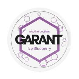 Woreczki Nikotynowe Garant Molecule 20mg - Ice Blueberry