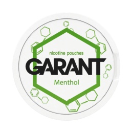 Woreczki Nikotynowe Garant Molecule 20mg - Menthol 