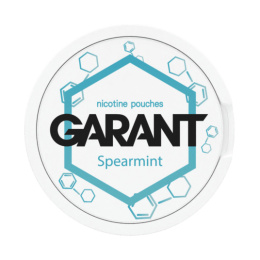 Woreczki Nikotynowe Garant Molecule 20mg - Spearmint 