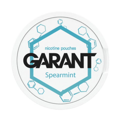 Woreczki Nikotynowe Garant Molecule 20mg - Spearmint | E-LIQ