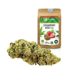 Susz konopny CBD Strawberry Kush 1g - Dr Joint